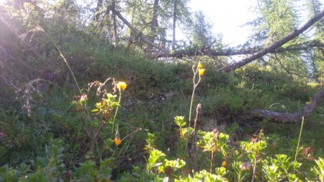 20150712_092252
