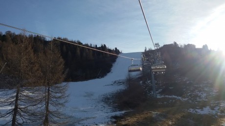 grizli - kopie