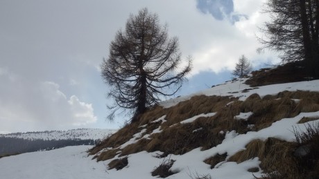20160321_142313