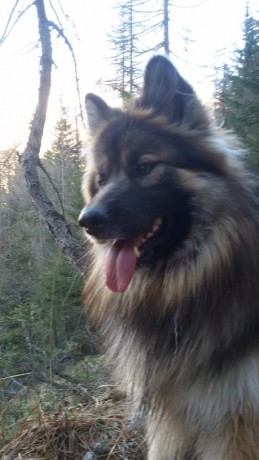 BONNIE