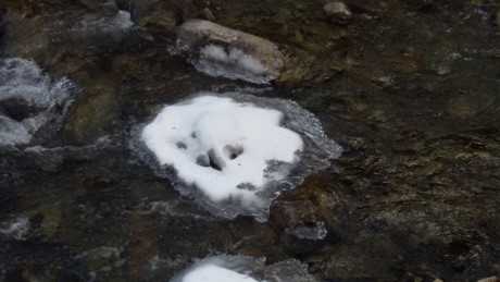20170116_122551