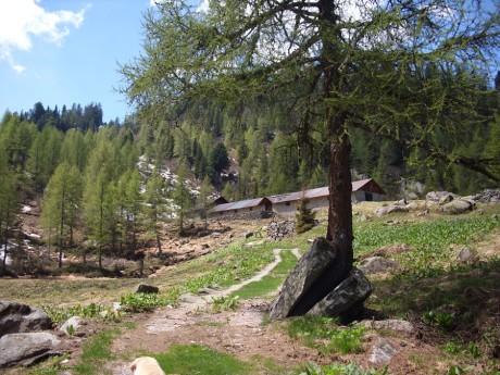 malga.jpg