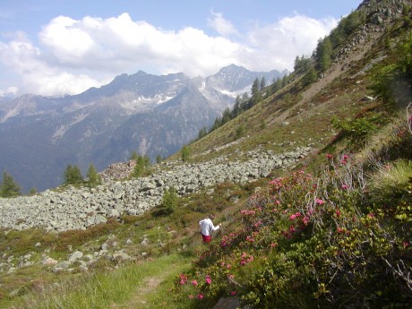 tonale 24.06.2007 014.jpg