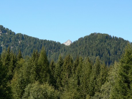 P1070207.JPG