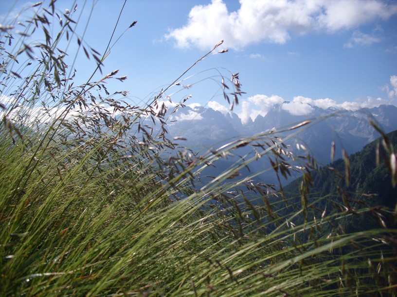 dolomitibrenta