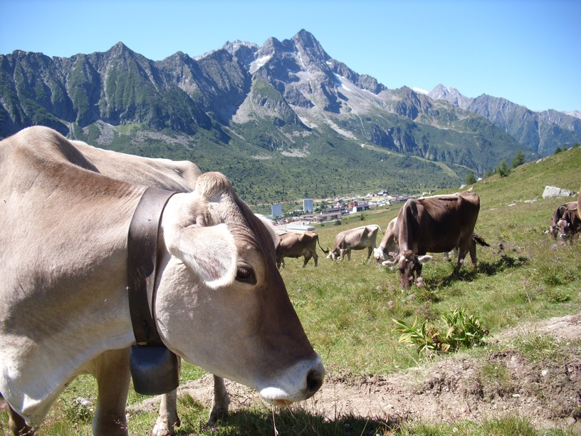 passo tonale