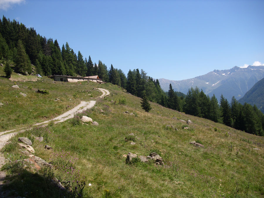 Malga-Giumela-Val-di-Peio.jpg