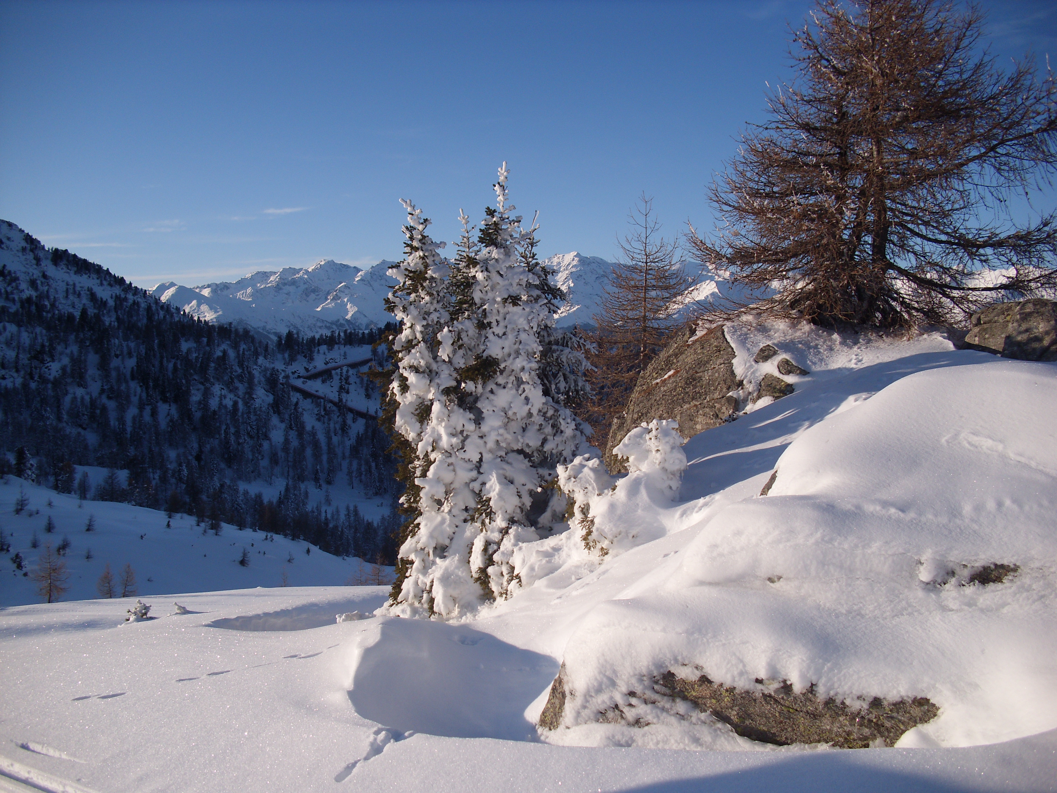 Na Monte Vigo je metr snehu.jpg