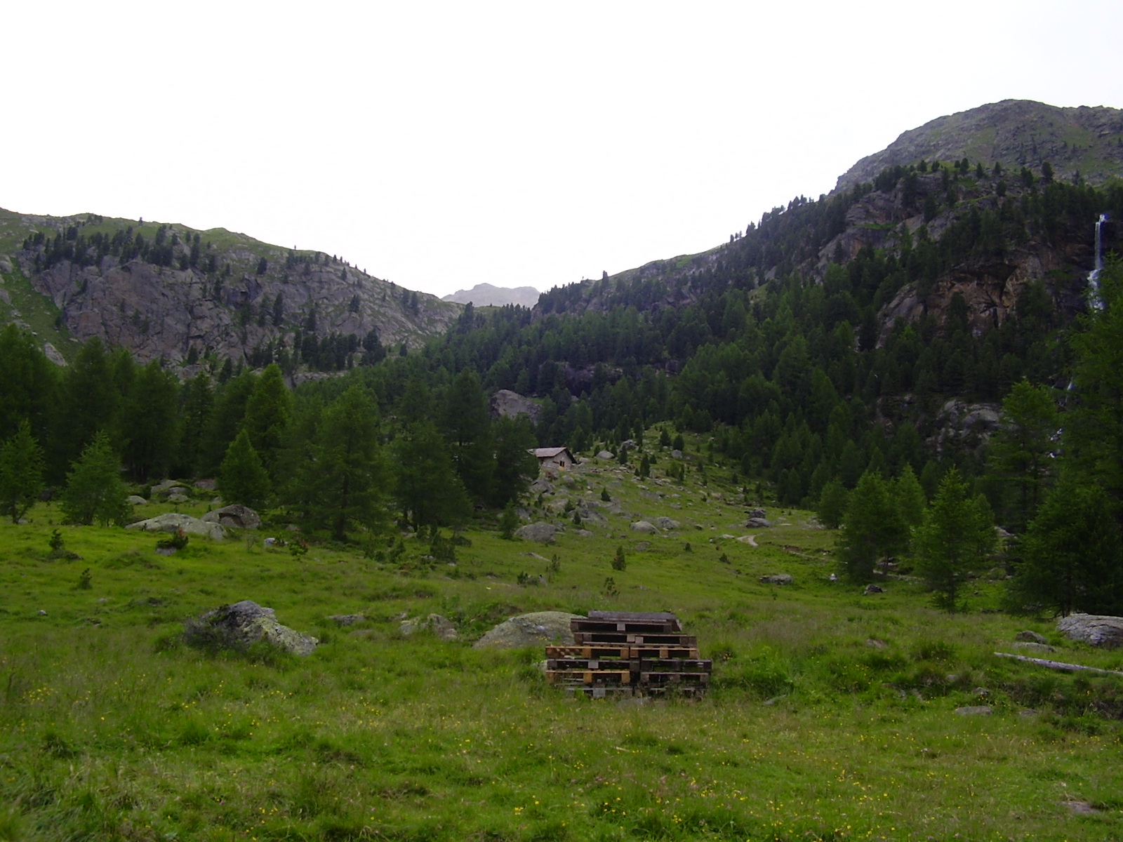 Malga Mare ve Val di Peio.jpg